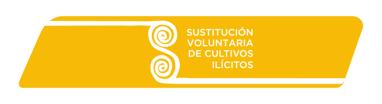 Aliados_Página WEB_Mesa de trabajo 1 copia 24